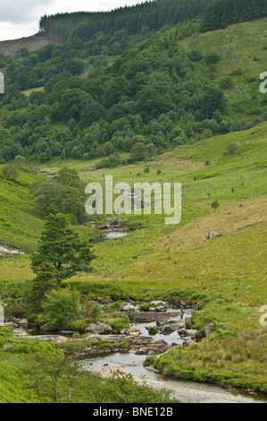 Irfon rivière qui coule à travers le col Abergwesyn, Powys, Mid Wales UK Banque D'Images