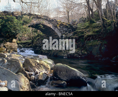 Llanbedr, MCG Bychan, Gwynedd, au nord du Pays de Galles, Royaume-Uni. Vieux pont de pierre sur Afon Artro dans la vallée boisée, dans le parc national de Snowdonia Banque D'Images