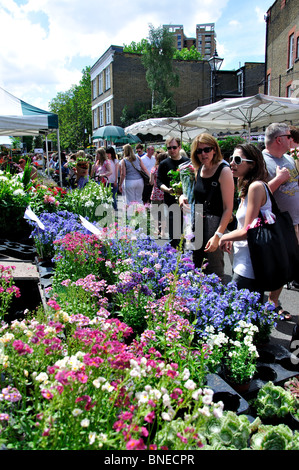 Columbia Road Flower Market, Columbia Road, Bethnal Green, le quartier londonien de Tower Hamlets, Grand Londres, Royaume-Uni Banque D'Images