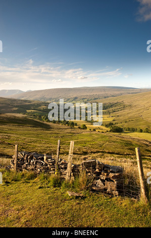 À la recherche de pâturages Whernside Dentdale vers le bas. Cumbria Banque D'Images