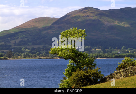 Loweswater sont tombés et l'extrémité sud-ouest du lac, Crummock Water District, Cumbria Banque D'Images