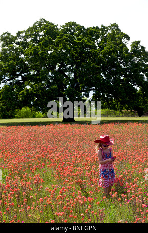 Fille dans domaine de rouge lumineux de fleurs de printemps dans le Texas, USA Banque D'Images