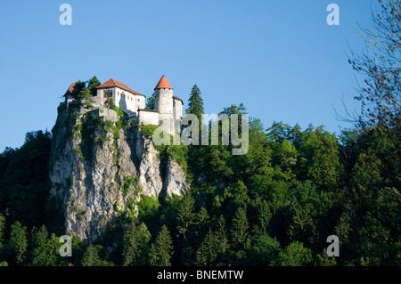 Château de Bled, en Slovénie, l'Europe centrale Banque D'Images