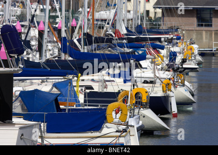 L'arrière de yachts et bateaux amarrés à Bangor marina County Down Irlande du Nord uk Banque D'Images