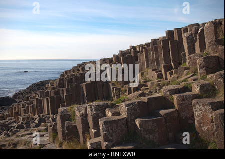 Avis de Giant's Causeway, comté d'Antrim, en Irlande du Nord Banque D'Images