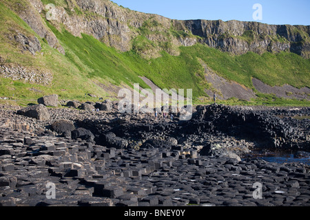 Avis de Giant's Causeway, comté d'Antrim, en Irlande du Nord Banque D'Images