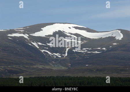 Plaques de neige sur Cairngorm Mountain Ski Area au début de l'été. Banque D'Images