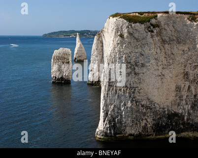 Les pinacles et rock de l'aiguille, Dorset Coast, UK Banque D'Images