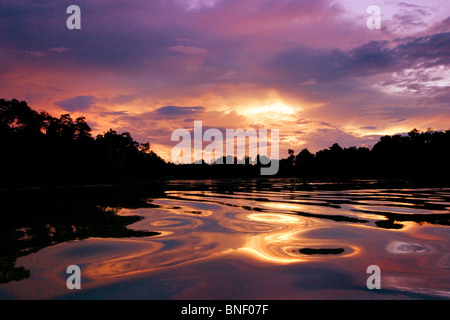 Rivière Kinabatangan au coucher du soleil, Sabah, Malaisie Banque D'Images