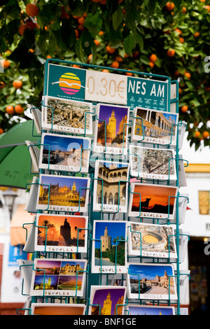 Cartes postales / cartes postales à vendre à Séville gift store / boutique, avec un arbre à fruits fruits orange derrière. Séville, Espagne. Banque D'Images