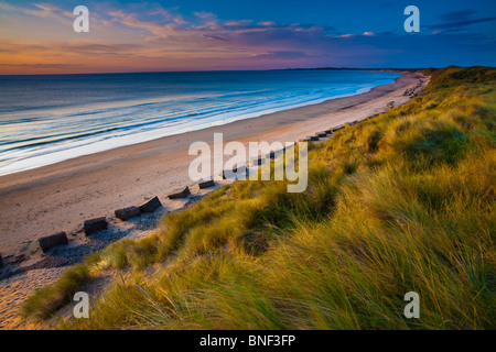 En Angleterre, Northumberland, Druridge Bay. Une étendue de dunes de sable bordant la plage pittoresque de Druridge Bay Banque D'Images