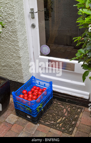 Caisses de tomates et légumes frais livrés à un restaurant. Caisses en plastique bleu et noir ont été laissés à la porte. Banque D'Images