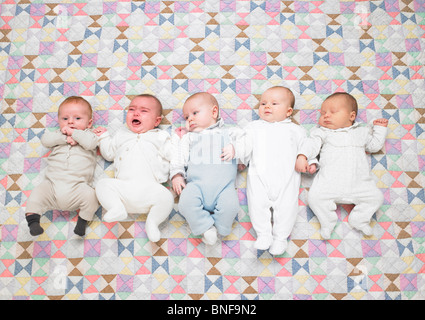 Cinq bébés sur quilt Banque D'Images