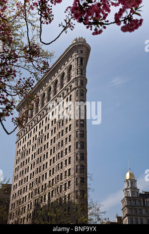 Flatiron Building, NEW YORK CITY Banque D'Images