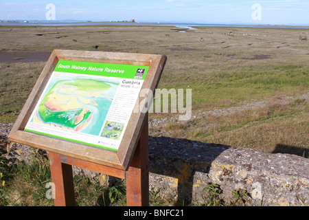 South Walney Island Nature Reserve, près de Barrow-in-Furness, Cumbria Banque D'Images