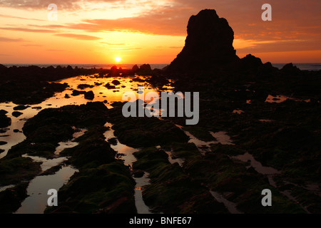 Coucher du soleil à Black Rock,Widemouth Bay, Cornwall, Angleterre, Royaume-Uni. Banque D'Images