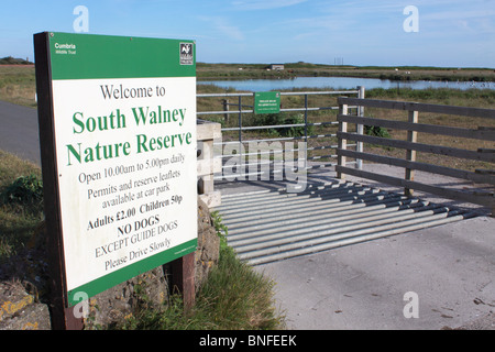 South Walney Island Nature Reserve, près de Barrow-in-Furness, Cumbria Banque D'Images