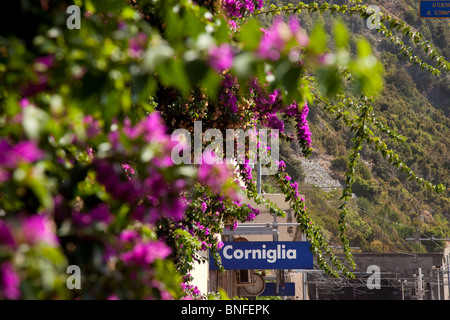 Fleurs et signer à la gare ferroviaire à Corniglia dans les Cinque Terre, la Ligurie Italie Banque D'Images