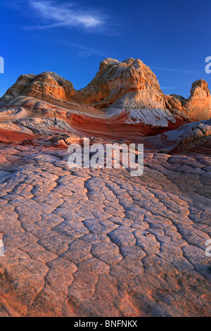 'Cerveau' formations de roche de grès au 'White Pocket' dans la région de Vermilion Cliffs National Monument, Arizona Banque D'Images