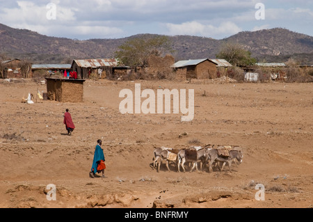 Dans la communauté Massaï du nord de la Tanzanie Village Piyaya Banque D'Images