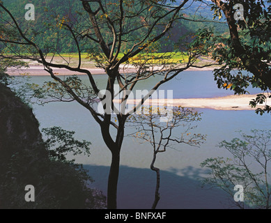 La large rivière Arun s'écoule à travers une large vallée bordée d'arbres dans la région de Kosi est du Népal Banque D'Images