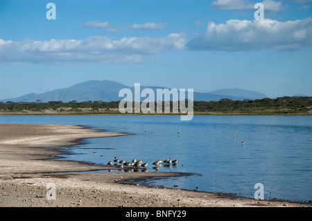 Lake Masek est le début de la célèbre Gorge de Oldupai Ndutu Ngorongoro en Tanzanie Banque D'Images