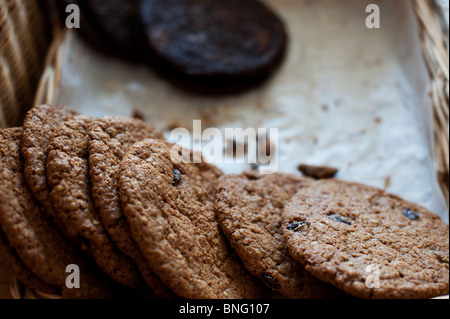 Les cookies à l'avoine et aux raisins à l'avant-plan et les cookies au chocolat dans le fond de la Casserole Chancho boulangerie. Banque D'Images