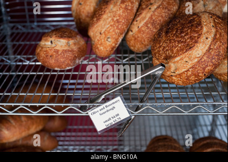 Pains au levain de romarin et d'olive, avec des pinces, à la casserole Chancho boulangerie. Banque D'Images