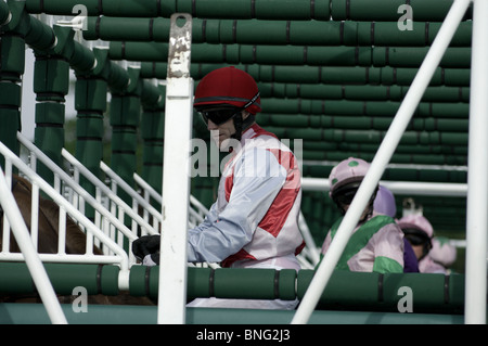 Les jockeys et les chevaux dans les pièges strting at Epsom Downs racecourse Banque D'Images