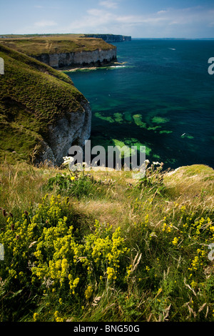 Soleil au nord, à l'atterrissage à Flamborough Head sur un jour Mid-Summers Banque D'Images