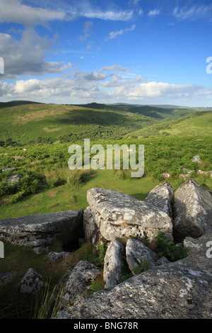 Vue d'été de Combestone sur tor tor forte vers les gorges de l'EICC, Dartmoor, dans le Devon, England, UK Banque D'Images