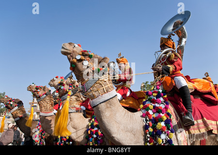 Groupe de musique militaire sur des chameaux. Défilé du Festival de Jaisalmer. Le Rajasthan. L'Inde Banque D'Images