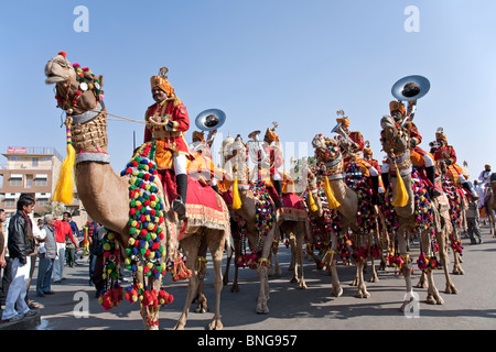 Groupe de musique militaire sur des chameaux. Défilé du Festival de Jaisalmer. Le Rajasthan. L'Inde Banque D'Images