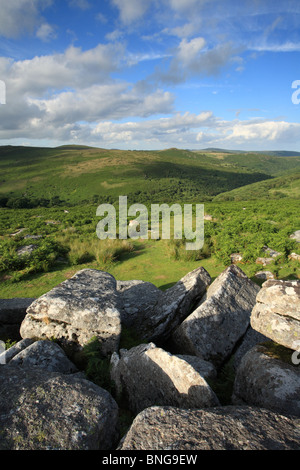 Vue d'été de Combestone sur tor gorge Dart vers Sharp tor , le Dartmoor, dans le Devon, England, UK Banque D'Images