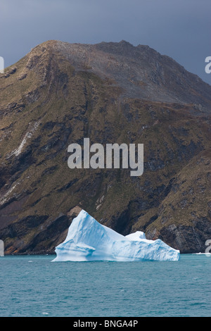 Iceberg au large de la côte de la Géorgie du Sud Banque D'Images