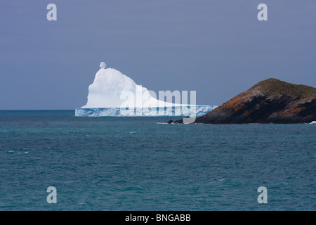 Iceberg au large de la côte de la Géorgie du Sud Banque D'Images