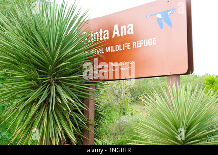 Texas, McAllen. Santa Ana National Wildlife Refuge. Banque D'Images