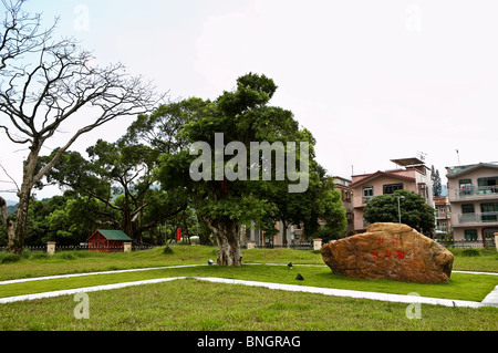 Les arbres qui souhaitent Lam Tsuen, Taipo, Hong Kong Banque D'Images