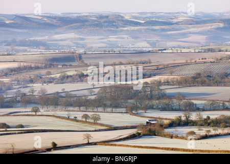 Couverts de givre hiver campagne près de Crediton, Devon, Angleterre. L'hiver (mars) 2010. Banque D'Images