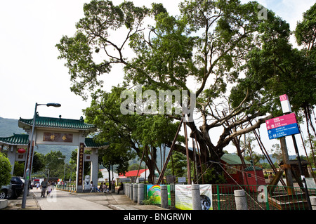 Entrée de Wishing Tree, Lam Tsuen, Taipo, Hong Kong Banque D'Images