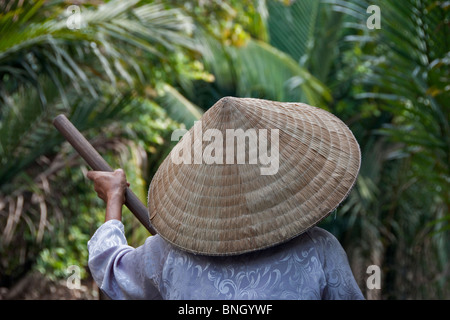 Delta du Mékong & Rizière fonctionne, Delta du Mékong, Vietnam Banque D'Images