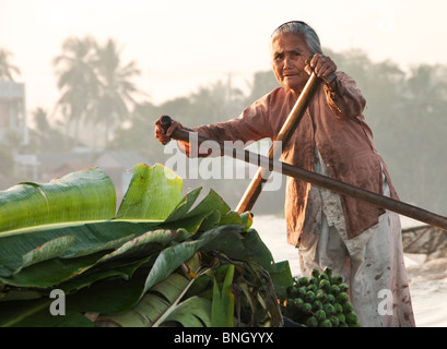 Les sections locales, Delta du Mékong, Vietnam Banque D'Images