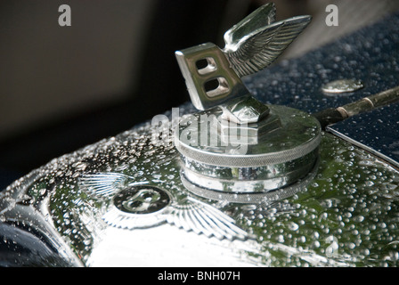 1939 Bentley hood ornament Banque D'Images