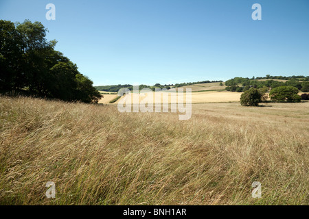 Lyminge campagne anglaise, près de Folkestone, Kent UK Banque D'Images