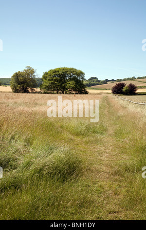 Lyminge campagne anglaise, près de Folkestone, Kent UK Banque D'Images