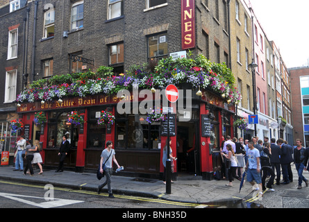 Le doyen de Nellie pub, Soho, Londres, Angleterre, Royaume-Uni Banque D'Images