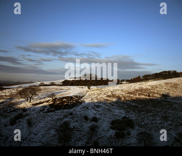 Soirée d'hiver à l'ensemble de la neige au sol recouvert de Lyme Park près de Cheshire Angleterre Banque D'Images