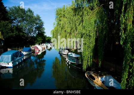 Les bateaux de plaisance amarrés le long des rives bordées d'La rivière Stour Banque D'Images