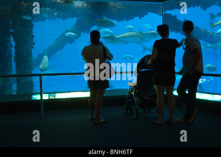 Texas, Corpus Christi. Les gens à l'aquarium de Corpus Christi. Banque D'Images