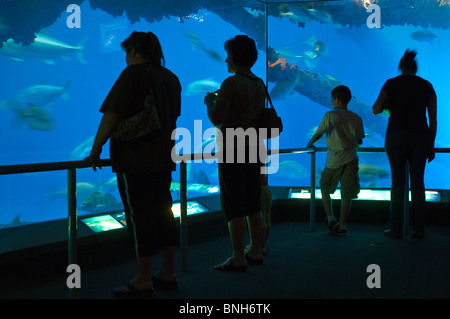 Texas, Corpus Christi. Les gens à l'aquarium de Corpus Christi. Banque D'Images